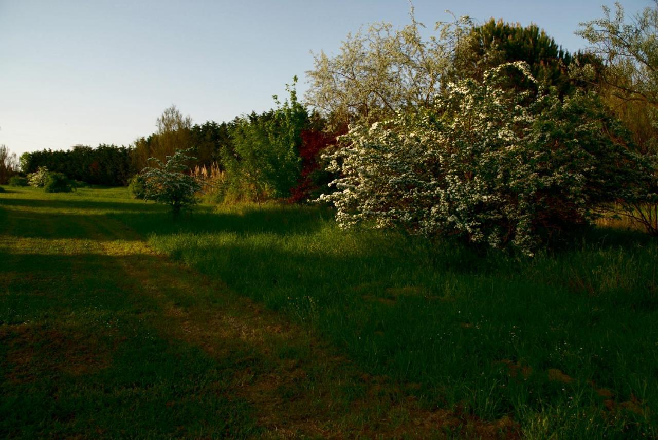 Rose Canine B&B Cesenatico Exterior foto